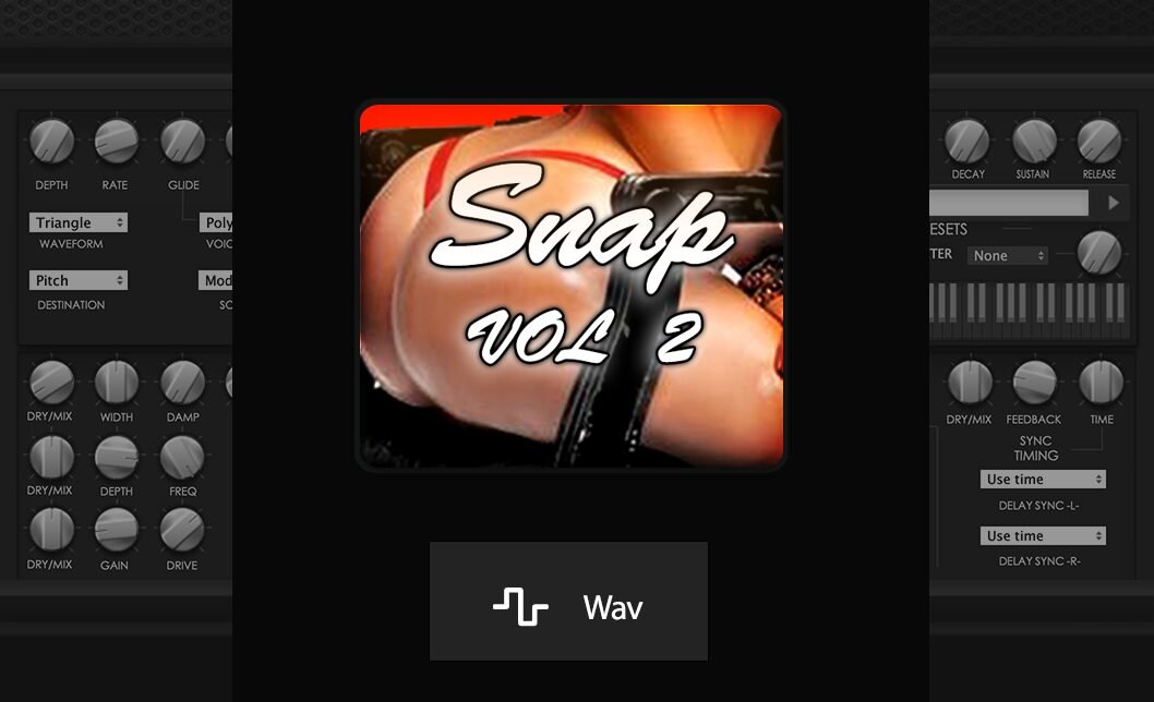 Snap Vol 2